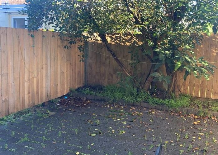  at 29D Opoia Road, Claudelands, Hamilton, Waikato