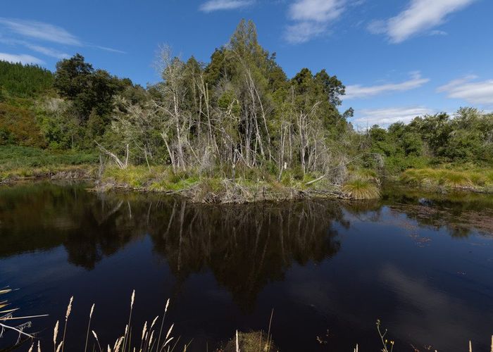  at 0 Waiwhero Road, Ngatimoti, Motueka