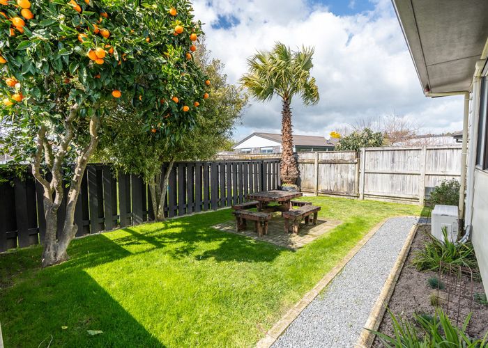  at 12B Bruce Avenue, Glenview, Hamilton, Waikato