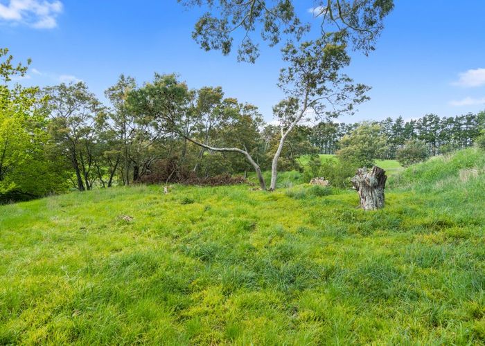  at 0 Wards Line, Morison Bush, Greytown