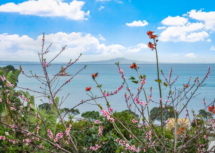  at 10 Zita Avenue, Matakatia Bay, Rodney, Auckland