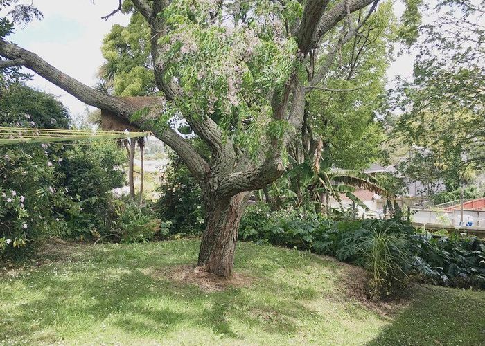  at 28 Barker Rise, Northcross, North Shore City, Auckland