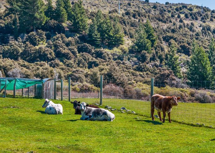  at 78 Nursery Road, Queensberry, Cromwell