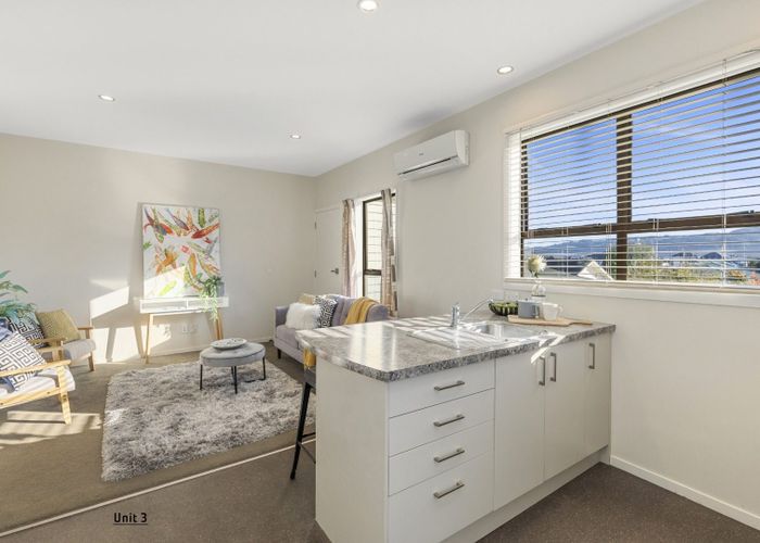  at 3/33 Tory Street, Petone, Lower Hutt