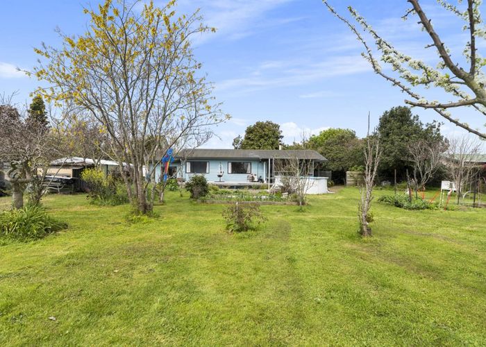  at 41 Arawa Road, Te Puke