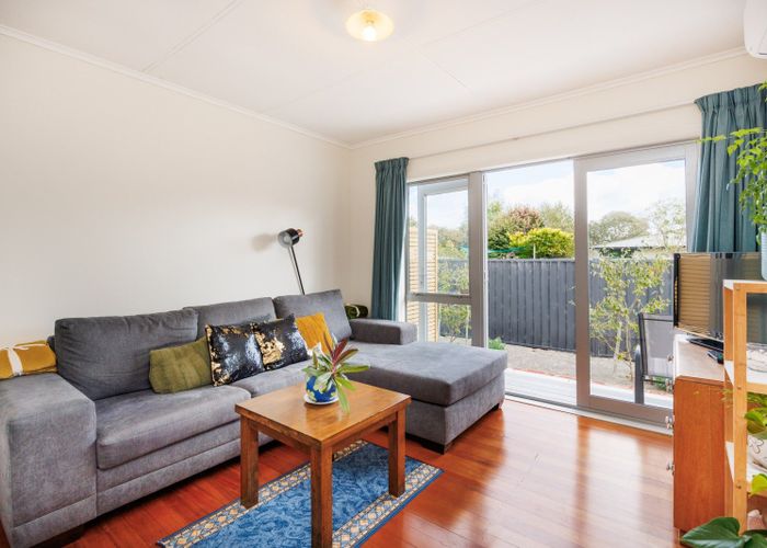  at 121 Limbrick Street, Terrace End, Palmerston North