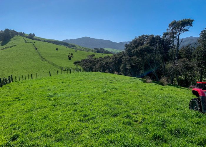 at 133 Neavesville Road, Puriri , Thames-Coromandel, Waikato
