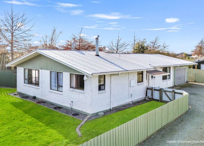  at 103 Redwood Street, Redwoodtown, Blenheim