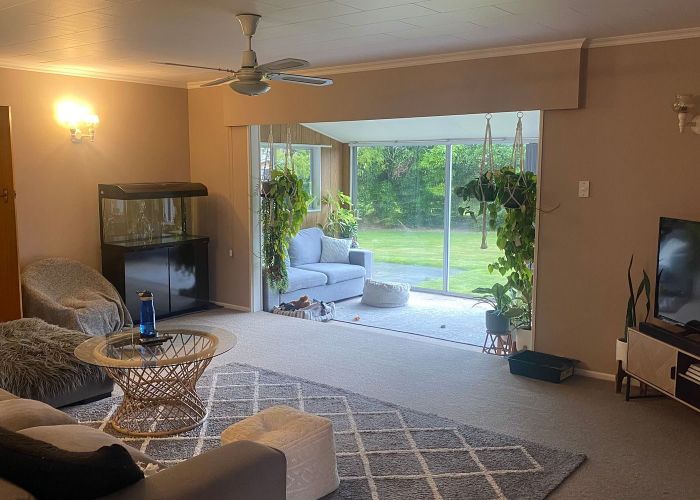  at 20 Edwards Place, Terrace End, Palmerston North, Manawatu / Whanganui