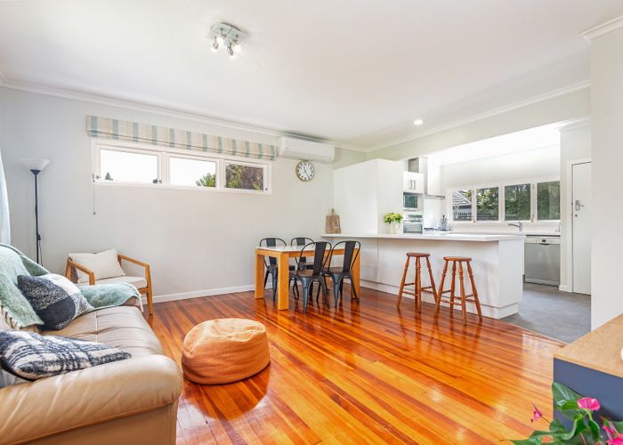  at 17 Manawatu Street, Hokowhitu, Palmerston North, Manawatu / Whanganui