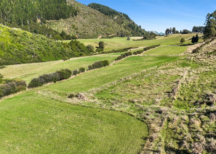  at 333  Packard Road, Golden Bay, Tasman, Nelson / Tasman