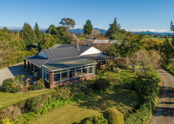  at 42 Youngson Road, Tauranga