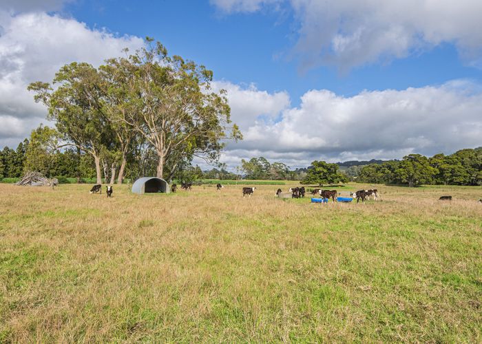  at 85-87 Old North Road, Whakapara, Whangarei, Northland