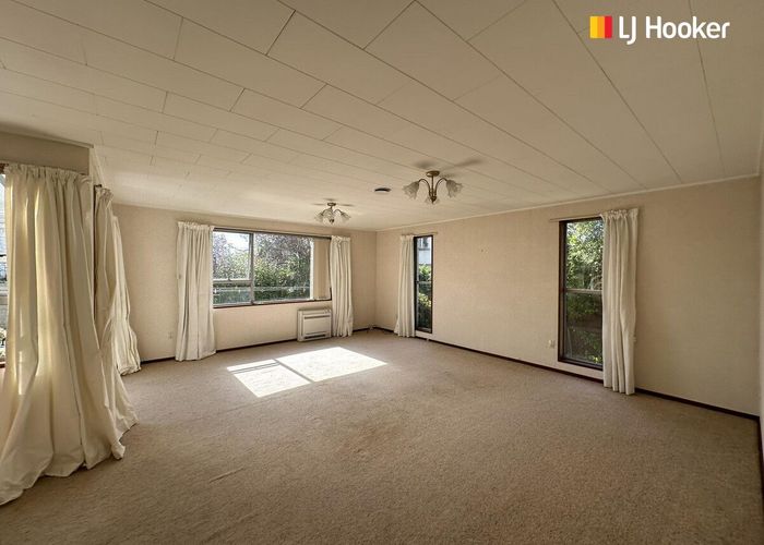  at 11B Allandale Road, Saint Clair, Dunedin
