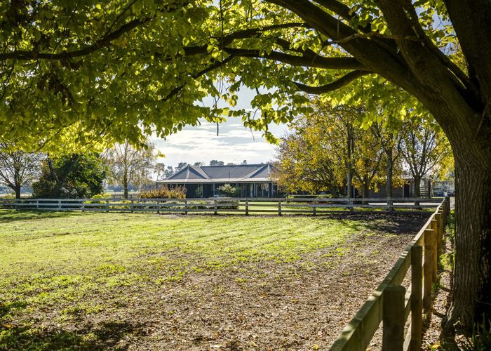  at 135 Crystall Road, Havelock North, Hastings, Hawke's Bay