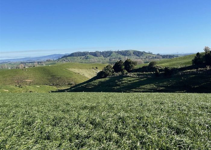  at 644B Bayley Road, Te Awamutu, Waipa, Waikato