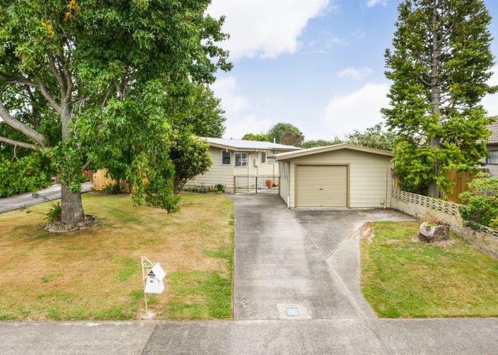  at 49 Gemini Avenue, Milson, Palmerston North
