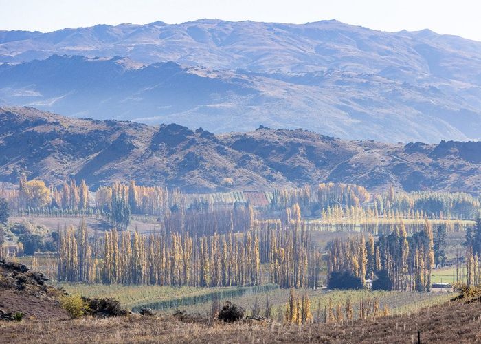  at 12/Lot 12 / 1 Conroy Road, Alexandra, Central Otago, Otago