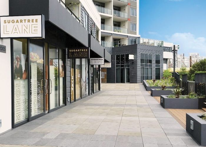  at 5/127 Luke Street East, Otahuhu, Auckland City, Auckland