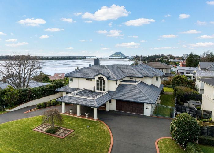  at 79 Fifth Avenue, Tauranga, Tauranga