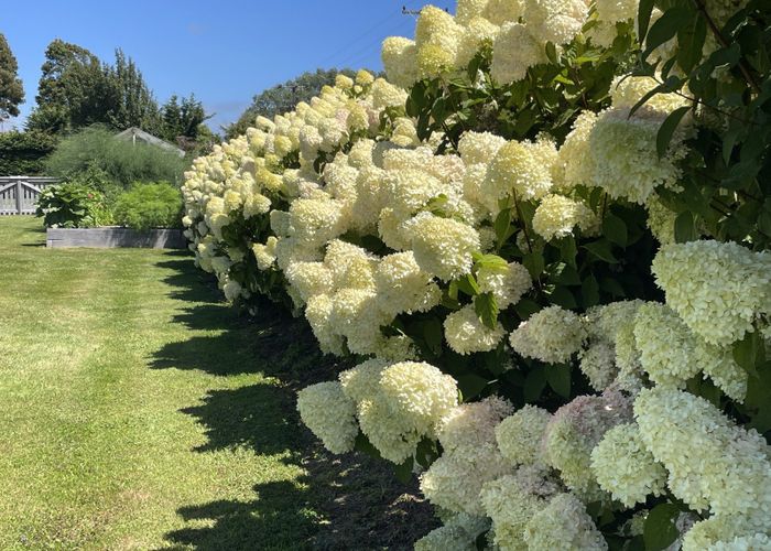  at 1199 Egmont Road, Egmont Village, New Plymouth, Taranaki