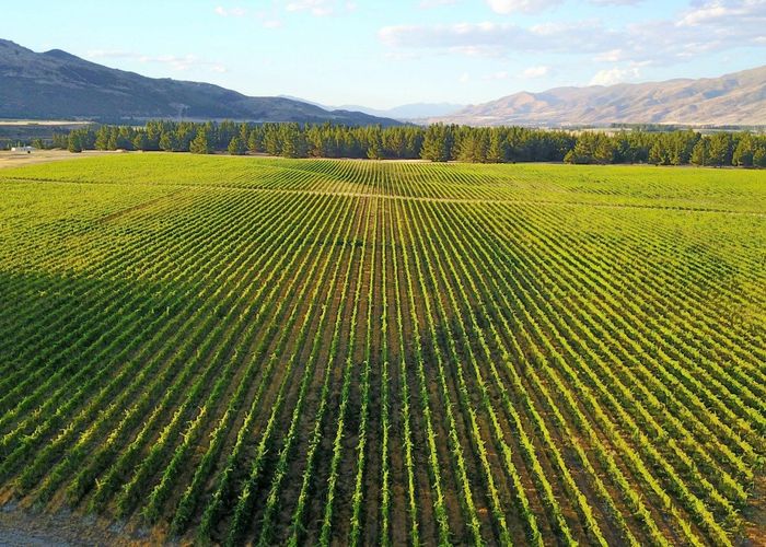  at 351 Maori Point Road, Tarras, Central Otago, Otago