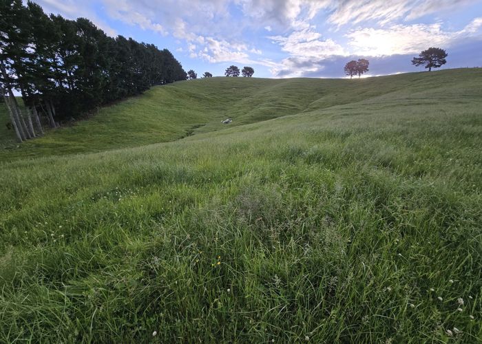  at 2/556 State Highway 27, Ngatea, Hauraki, Waikato