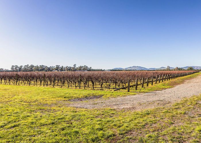  at 292 Mount Brown Road, Waipara, Hurunui, Canterbury