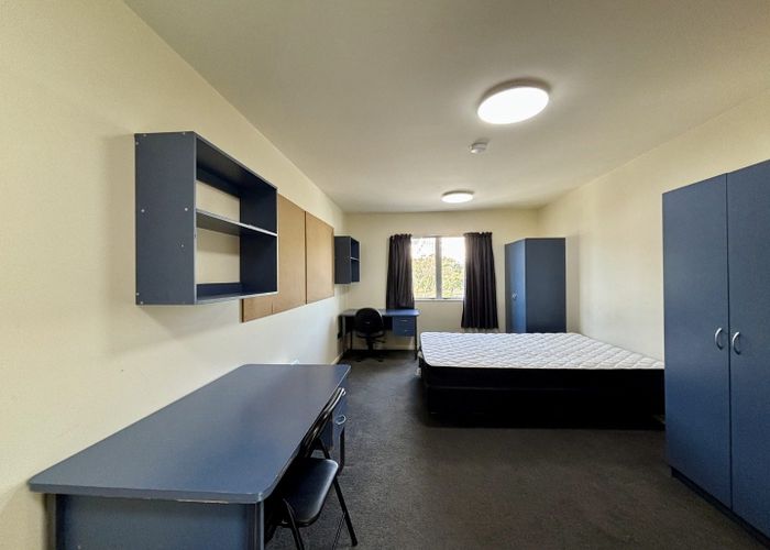  at 61/4 Sussex Street , Mount Cook, Wellington, Wellington