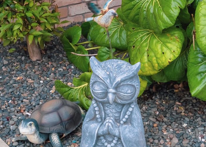  at 7 Welwyn Place, Rototuna, Hamilton, Waikato