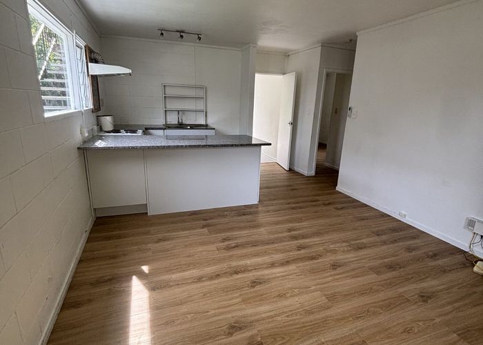  at 17 Don Croot Street, Kingsland, Auckland City, Auckland