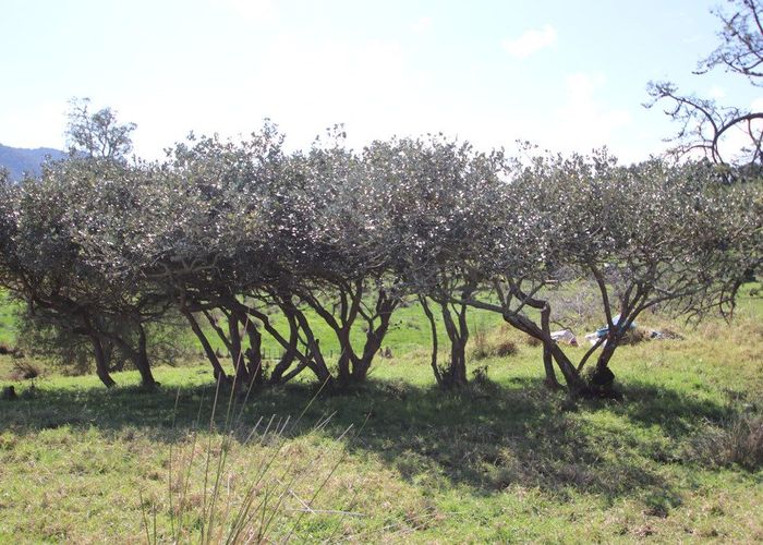  at 74B Diggers Valley Road, Herekino, Kaitaia