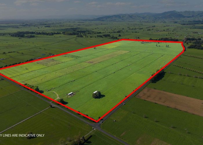  at 224 Mellon Road, Te Aroha, Matamata-Piako, Waikato