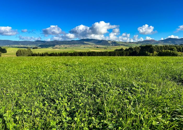  at 1048 Waimumu Road, Gore, Gore, Southland