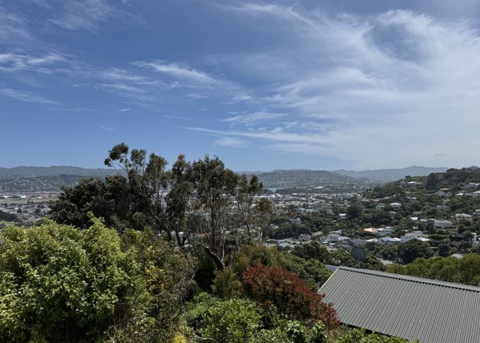  at 97 Tannadyce Street, Strathmore Park, Wellington, Wellington