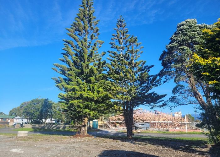  at 160 Weld Street, Hokitika, Westland, West Coast