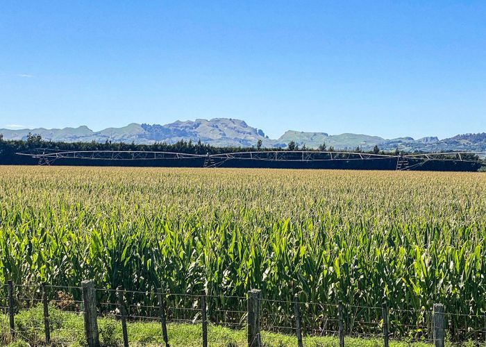  at 1355 Railway Road South and 656 Te Aute Road, Longlands, Hastings, Hawke's Bay