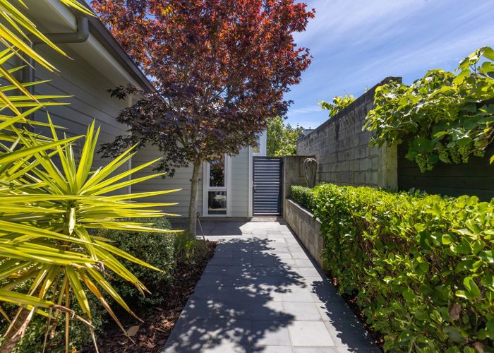  at 353 Hardy Street, Nelson, Nelson