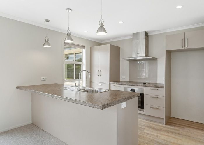  at 47 Silverstream Drive, Mosgiel, Mosgiel