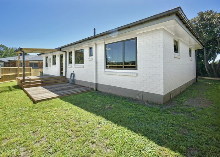  at 21 Cameron Road, Te Puke, Western Bay Of Plenty, Bay Of Plenty