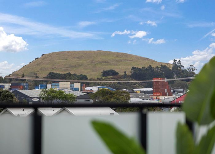  at 14 Torino Street, Point England, Auckland City, Auckland