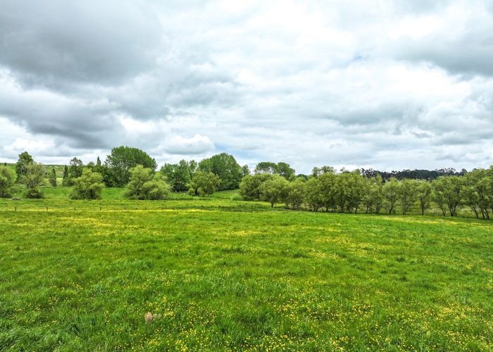  at 251 Bain Road, Huntly, Waikato, Waikato