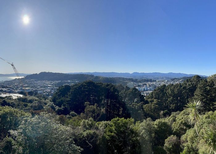  at 3 Asquith Terrace, Brooklyn, Wellington, Wellington