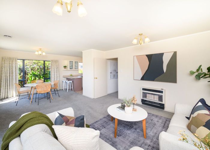  at 1 Logan Place, Kelvin Grove, Palmerston North