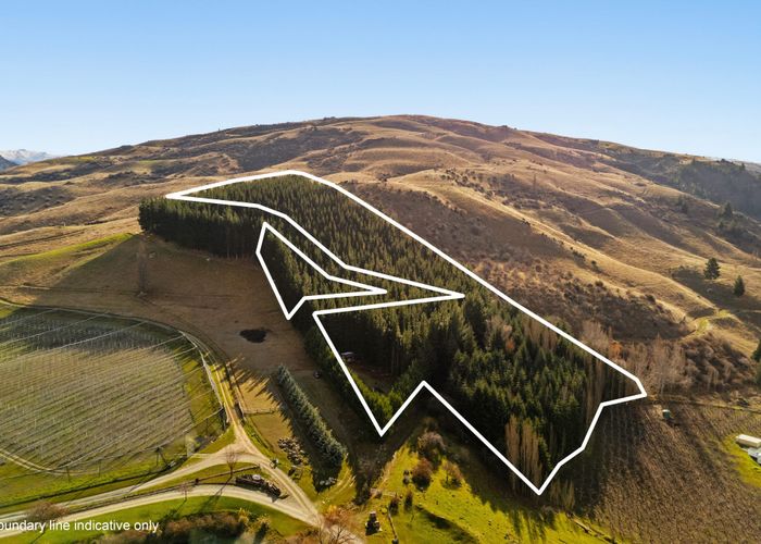  at Lot 1 & 5 Ripponvale Road, Cromwell, Central Otago, Otago
