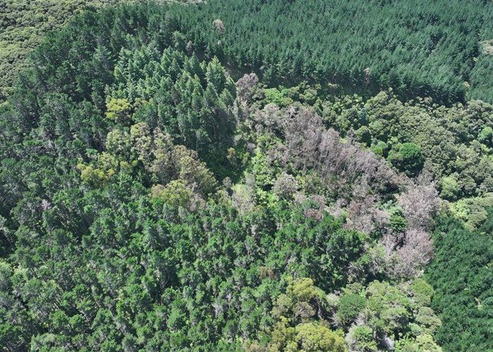  at 0 Puhata Road, Herekino, Far North, Northland