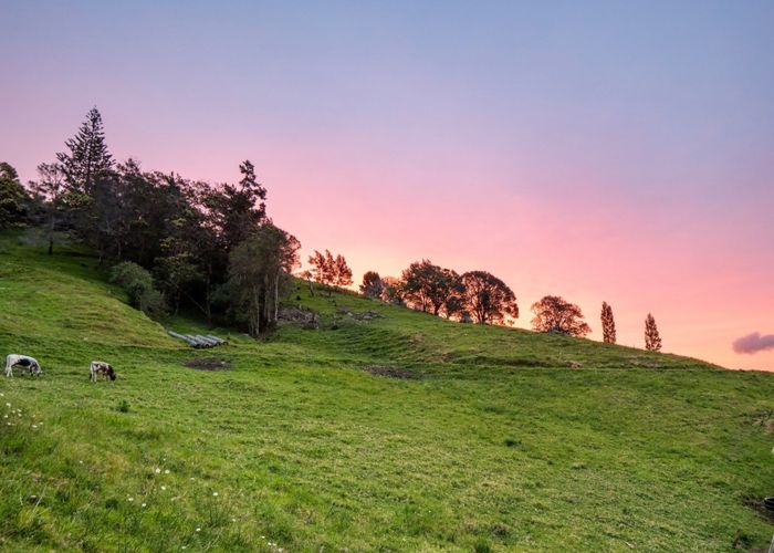  at 39 Corbett Drive, Te Puna, Western Bay Of Plenty, Bay Of Plenty