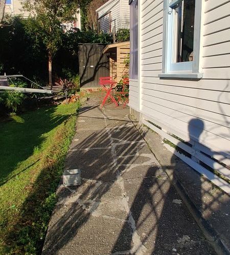  at Aro Valley, Wellington, Wellington