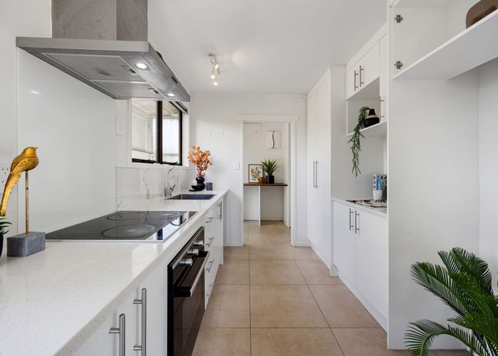  at 56 Pelorus Street, Glenview, Hamilton, Waikato