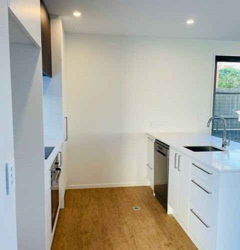  at 99 Simeon Street, Spreydon, Christchurch City, Canterbury